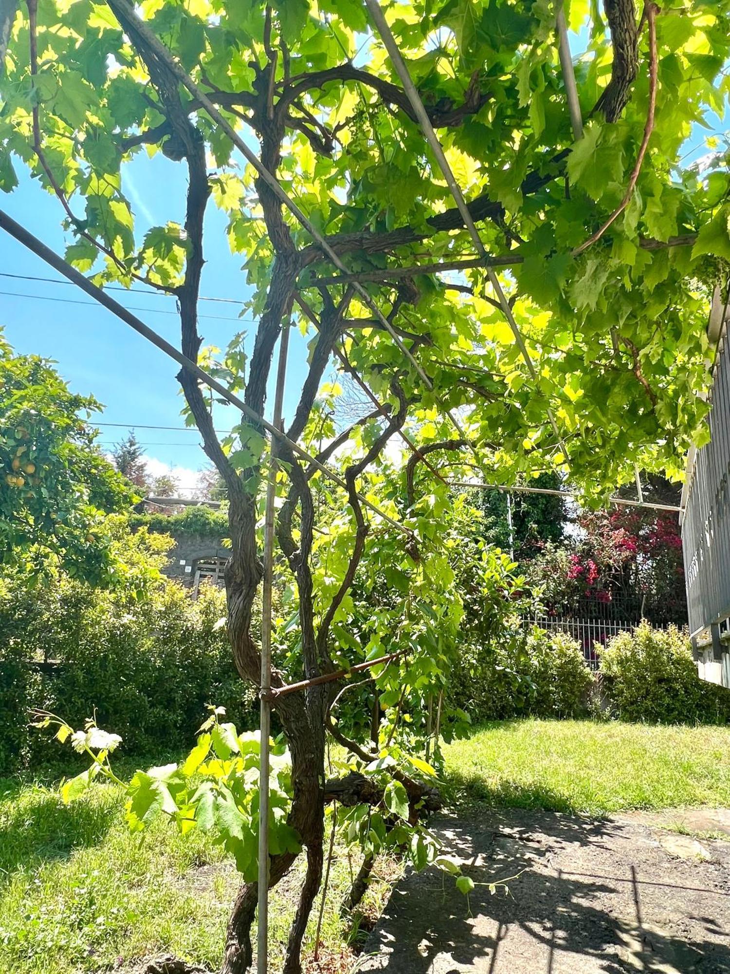 Casa vacanze 